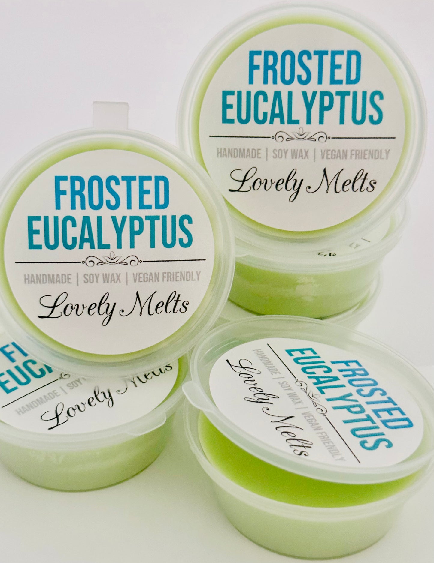 FROSTED EUCALYPTUS SOY WAX MELT POTS