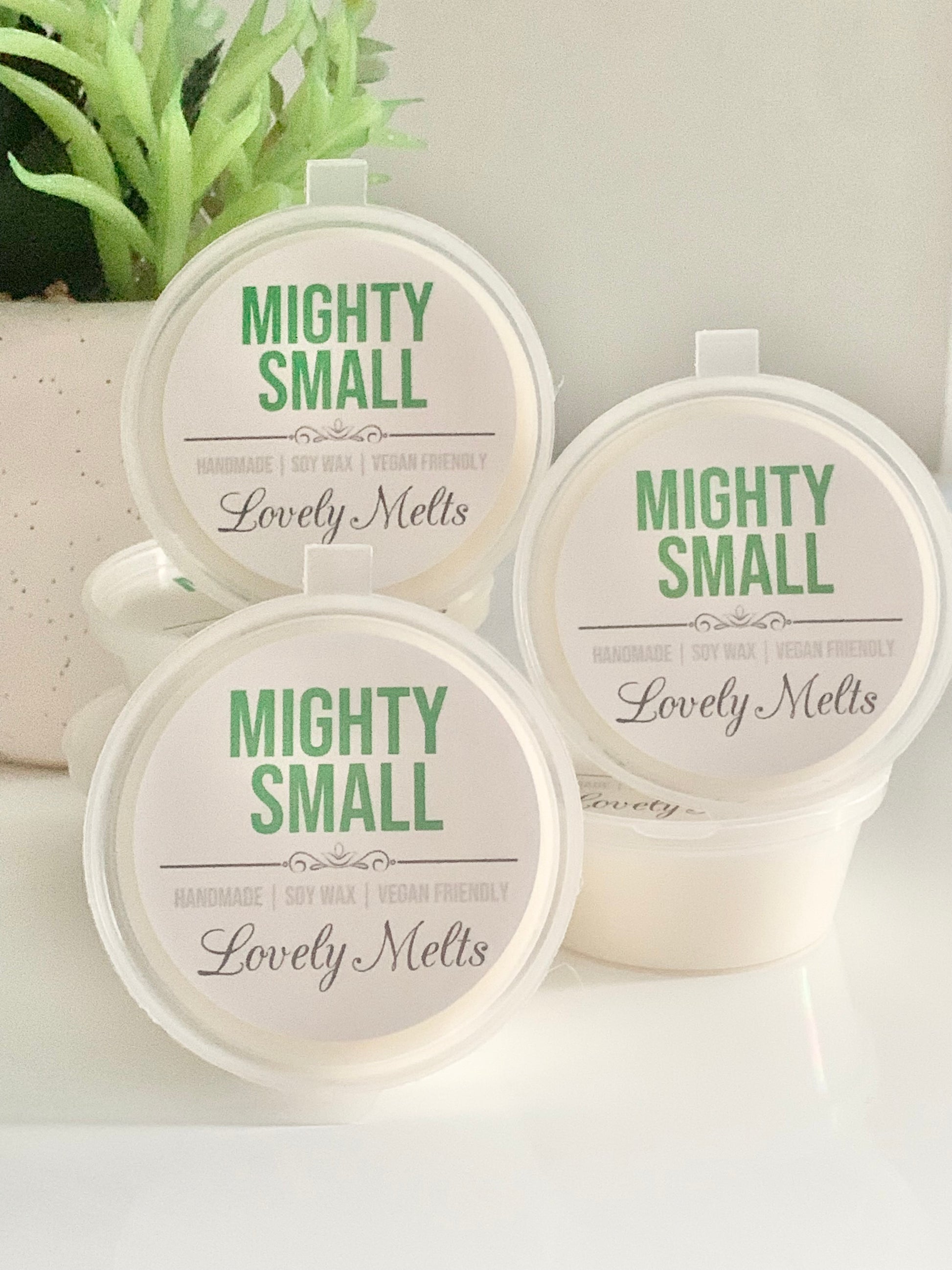 small and mighty wax laundry scent soy wax melt pots