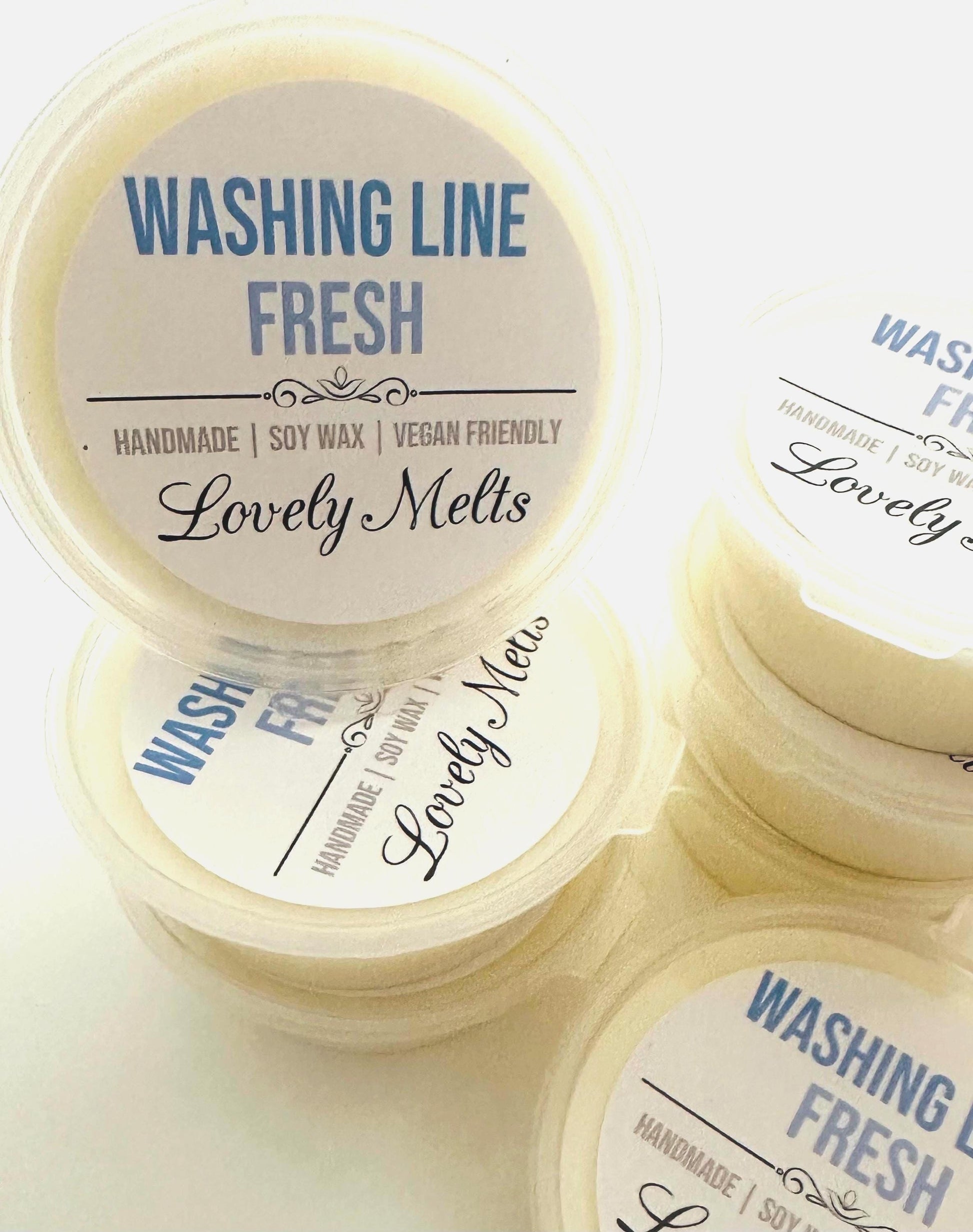 WASHING_LINE_FRESH_wax melt POTS