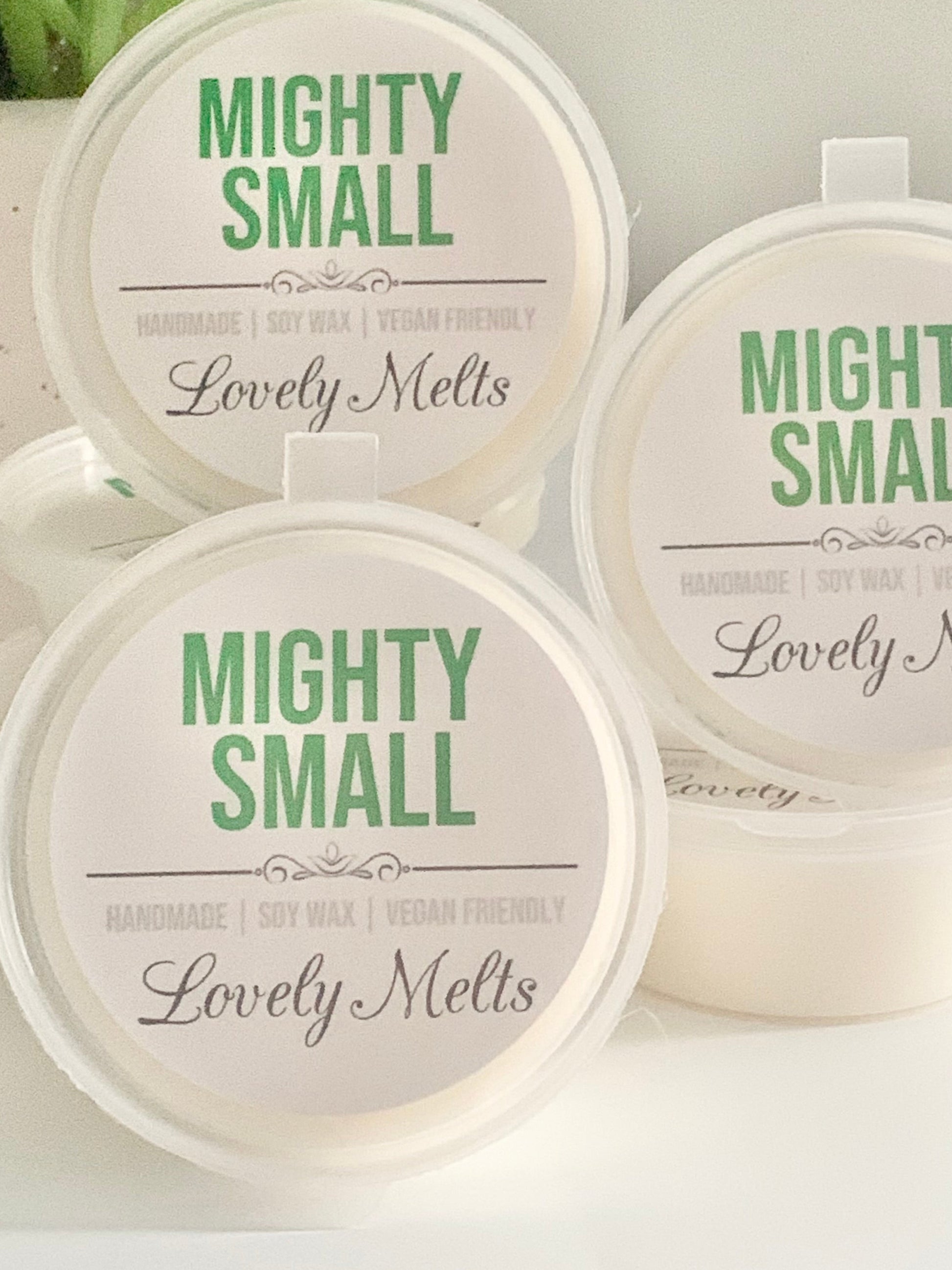 MIGHTY SMALL LAUNDRY WAX MELT POTS
