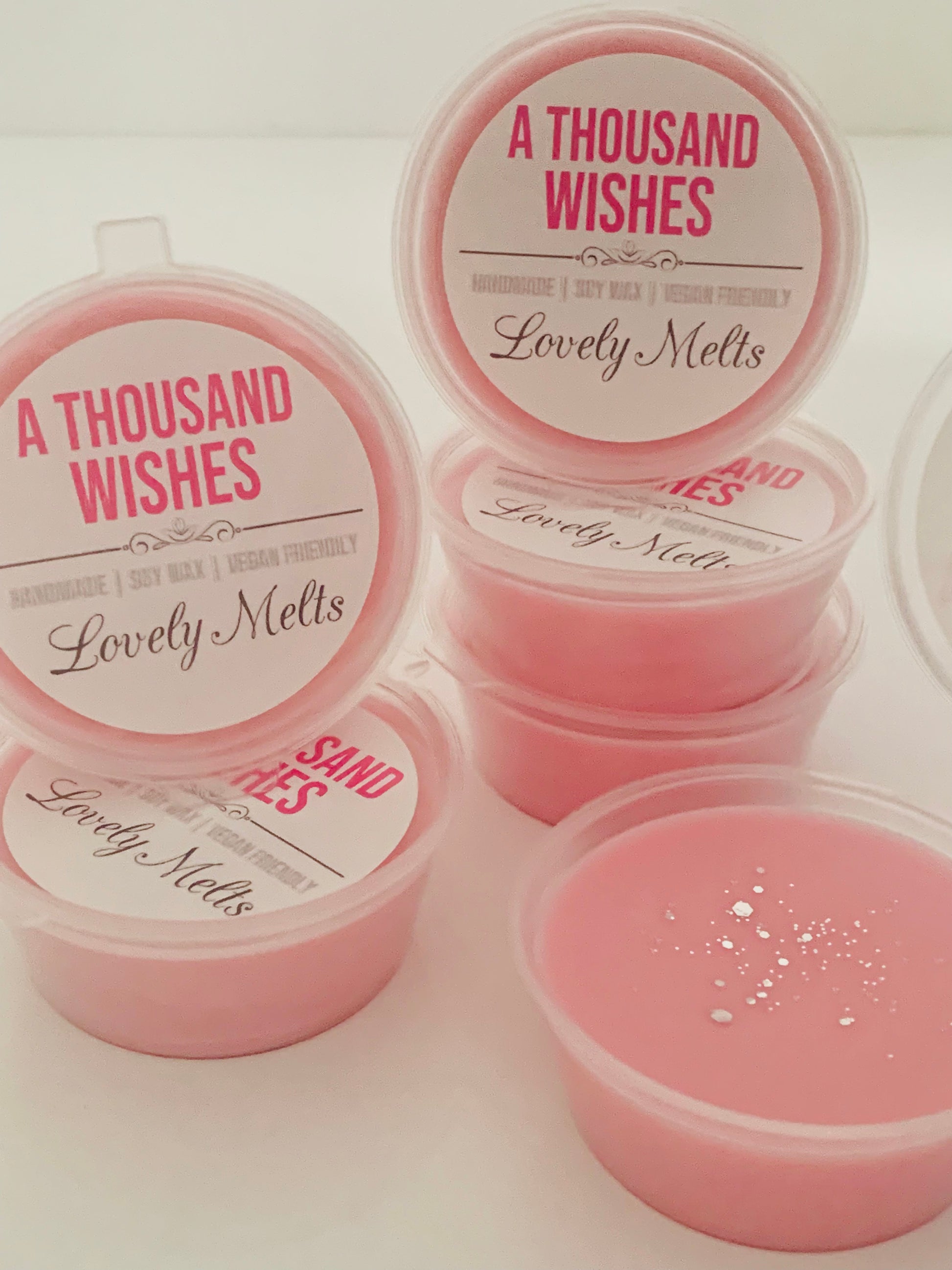 1000 WISHES SOY WAX MELT POTS